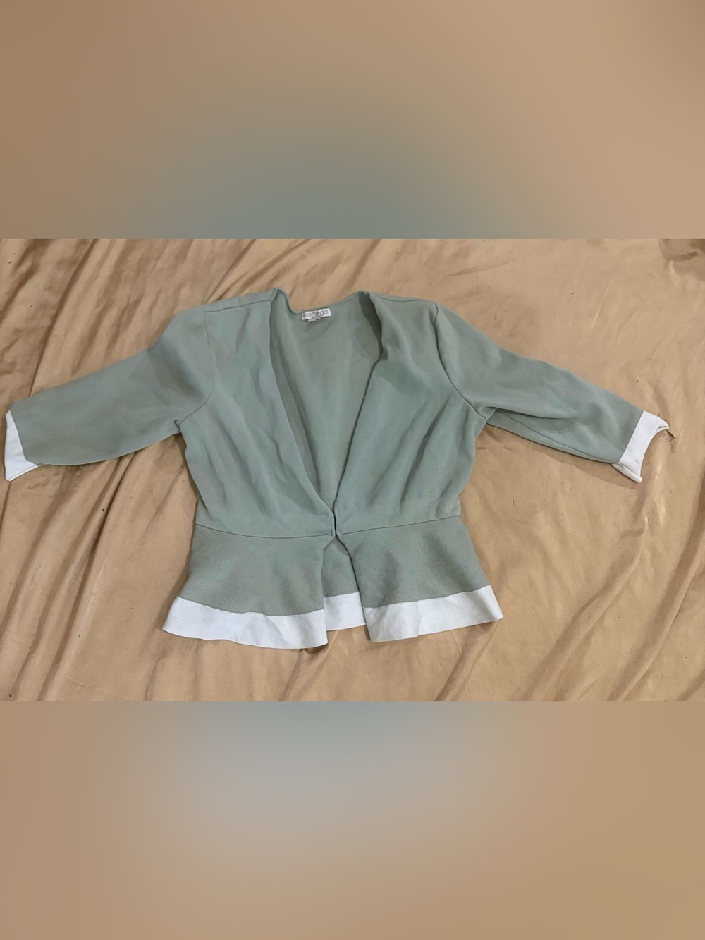 eva mendes for New York & Company Sage Green Knit Top with White Label